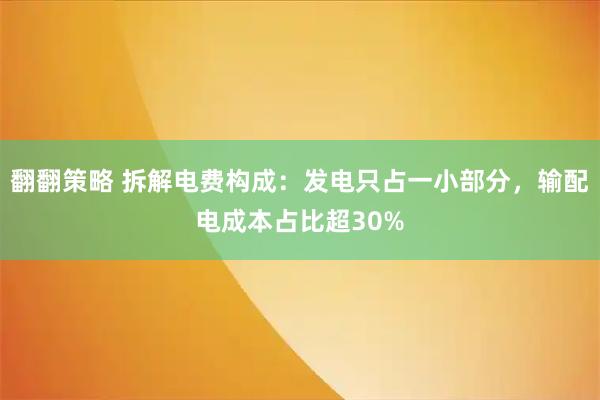 翻翻策略 拆解电费构成：发电只占一小部分，输配电成本占比超30%