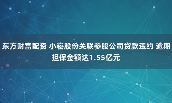 东方财富配资 小崧股份关联参股公司贷款违约 逾期担保金额达1.55亿元