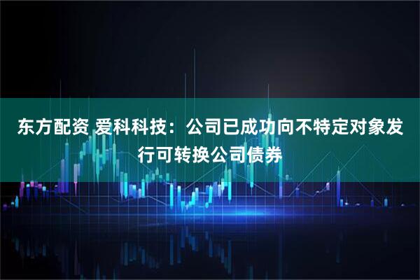东方配资 爱科科技：公司已成功向不特定对象发行可转换公司债券